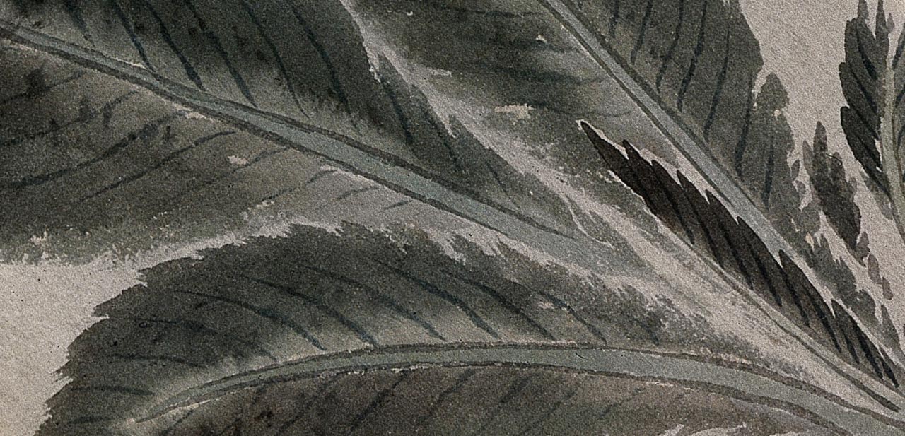 Featured Product Image